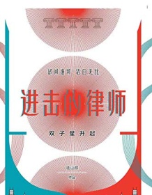 《进击的律师：双子星升起》 法山叔