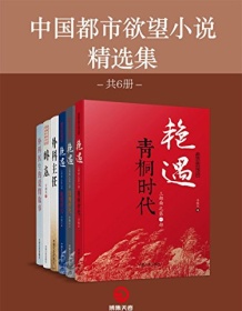 《中国都市欲望小说精选集（共6册）》 李晓东等