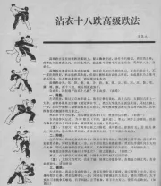 《沾衣十八跌·高级》.pdf