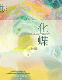 《化蝶：一个滇南小镇的政治史》 刘永刚