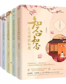 《知否，知否，应是绿肥红瘦（套装全六册）》 关心则乱