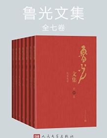 《鲁光文集（全七卷）》 鲁光