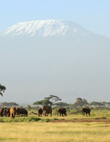 03191_unforgettablesafari