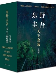 《东野圭吾天王套装》 东野圭吾