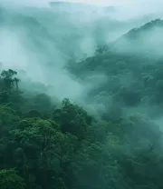 4K高清风景壁纸 (268)