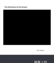 《屏幕上的受苦者》 黑特·史德耶尔