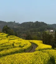 4K高清风景壁纸 (103)