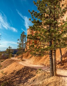 03909_insidebrycecanyon