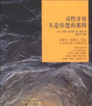 《灵性开悟不是你想的那样》  美 杰德 麦肯纳  著 鲁宓  译 ISBN 9787508074405