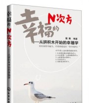 《幸福的N次方 从拼积木开始的幸福学》 默默  著 ISBN 9787122151964