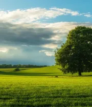 4K高清风景壁纸 (131)