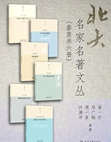 《北大名家名著文丛（套装共六册）》 许渊冲等