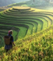 4K高清风景壁纸 (100)