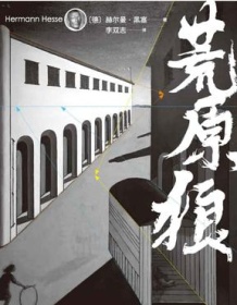 《荒原狼》 赫尔曼・黑塞