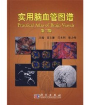 《实用脑血管图谱》 高士濂 吕永利 张力伟  编 ISBN 9787030210180