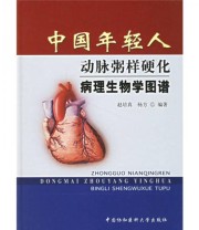 《中国年轻人动脉粥样硬化病理生物学图谱》 赵培真 杨方  著 ISBN 9787810728126