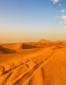 03232_desertsafari