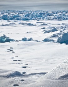 03933_polartracks