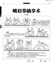 《峨眉拳》 (2).pdf