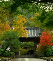 4K高清风景壁纸 (356)