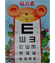 《视力表》 本社  编 ISBN 9787538152906