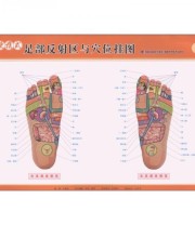 《便携式足部反射区与穴位挂图》 刘家瑞  著 ISBN 9787533539160